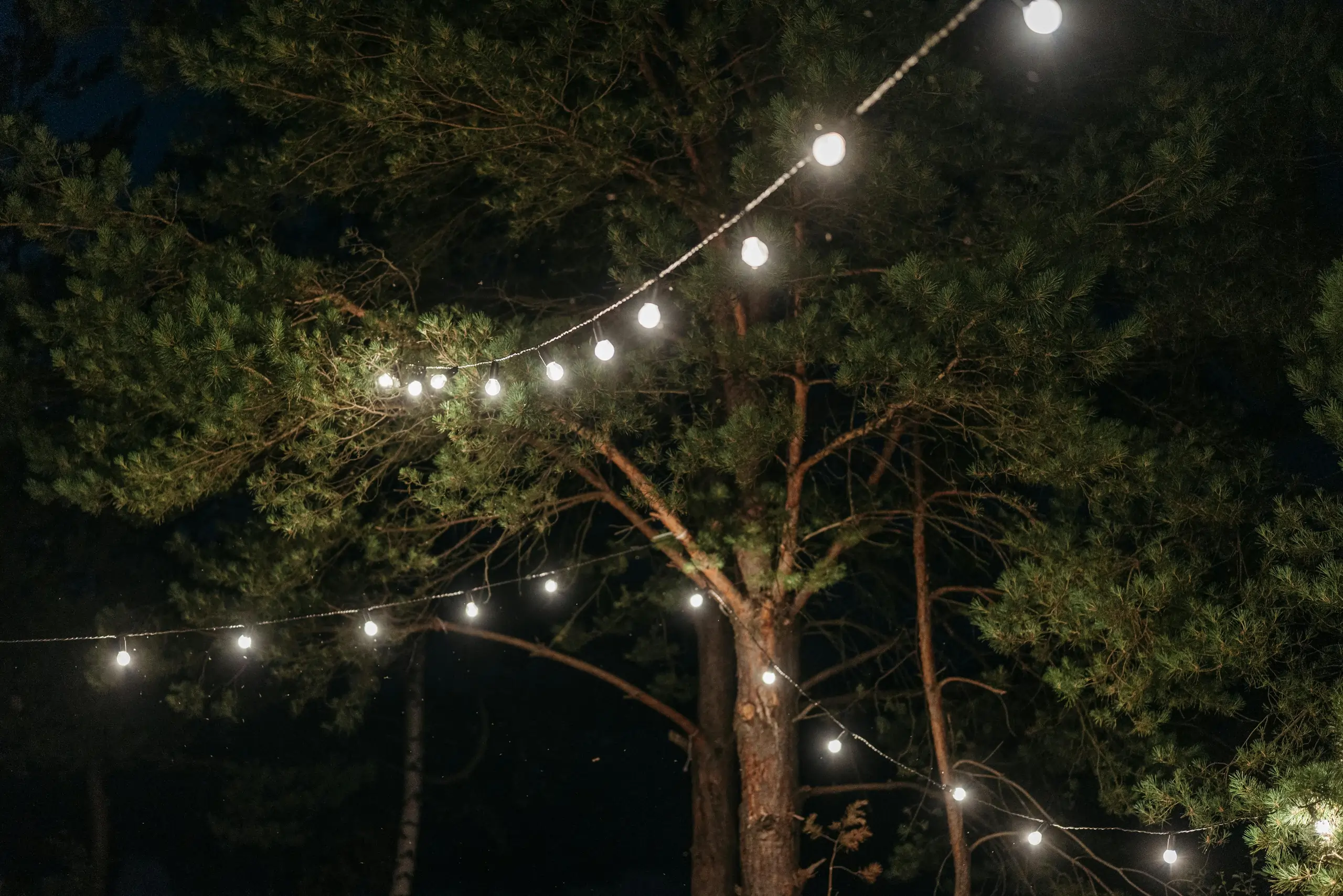 Festoon Lighting